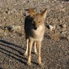 Death Valley 02